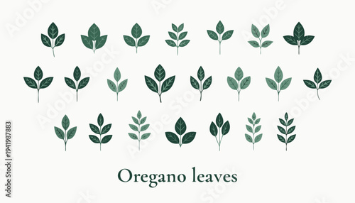 Vector set of green leaves and plants featuring organic eco icons and natural floral design elements for ecology logos