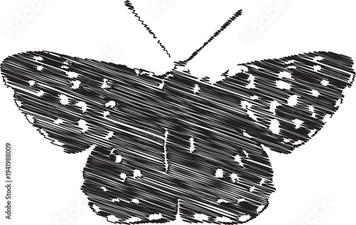 A black and white image of a beautiful butterfly