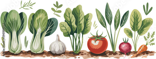 Colorful vegetable garden illustration showing bok choy, garlic, spinach, tomato, beet, and carrot growing in soil with vibrant foliage, healthy food, agriculture, and organic farming concept