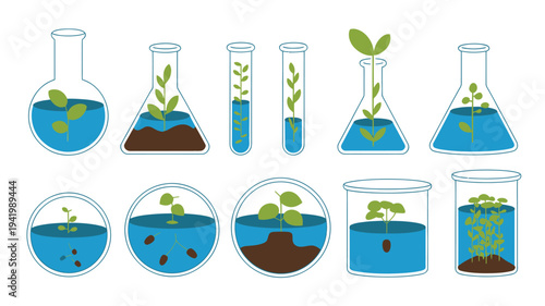 Illustration of plant growth stages in laboratory glassware from various viewpoints
