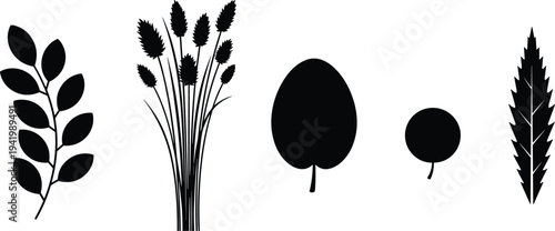 Minimalist black wild grass and leaf silhouettes set featuring organic meadow plants for nature branding botanical patterns and eco-friendly graphic designs.