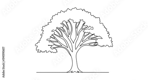 Detailed Line Drawing of a Large Tree with Branches and Foliage.
