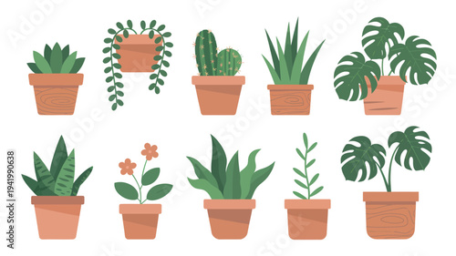A flat lay illustration of various potted plants and flowers arranged neatly in a grid pattern on a clean background from a top-down viewpoint