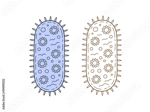 Cartoon bacteria cells blue and brown with spiky exteriors and internal floral patterns