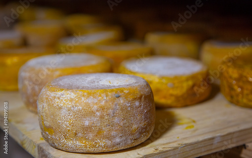 Process of making  parmesan hard cheese.