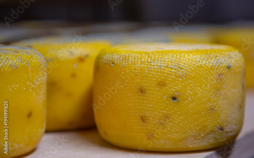 Process of making  parmesan hard cheese.