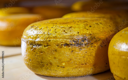 Process of making  parmesan hard cheese.