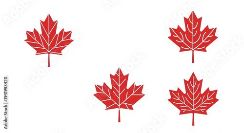 Four red maple leaves arranged on a white background silhouette