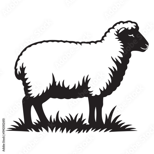 Black and white sheep standing in grass vector illustration flat design minimalist art