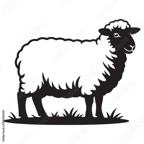 Black and white sheep standing in grass vector illustration flat design minimalist art