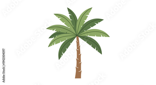 Palm tree with green leaves standing.