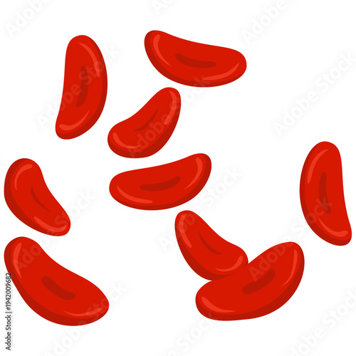 Red Blood Cells Illustration