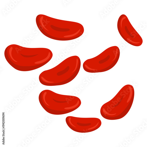 Red Blood Cells Illustration