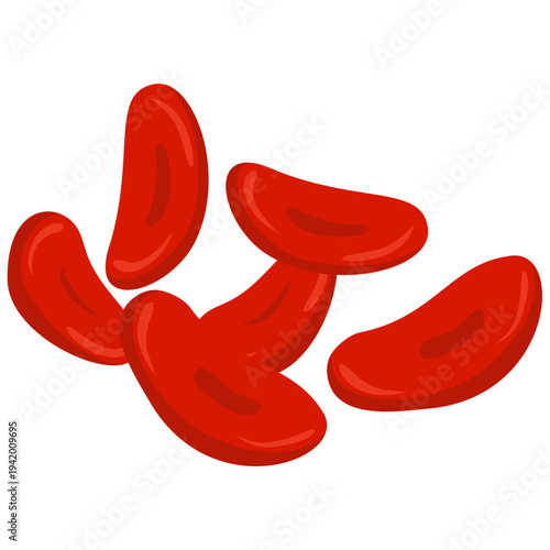 Red Blood Cells Illustration