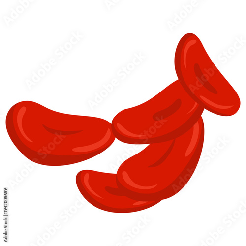 Red Blood Cells Illustration