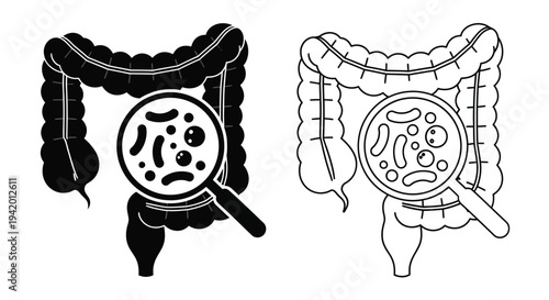 Human intestinal tract illustrations with magnifying glass black silhouette