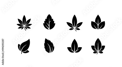 Green Nature Pack – Minimal Herbal Leaf Silhouette Logo Set
