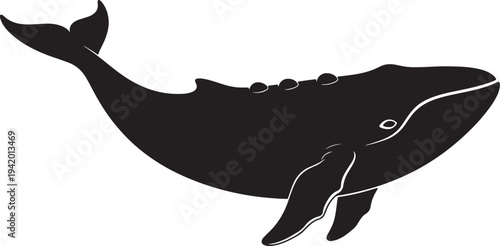 Black silhouette of a whale swimming with raised tail also transparent background