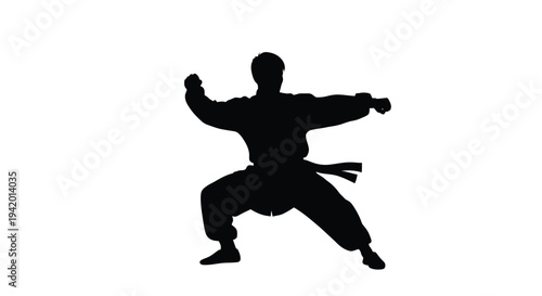 A martial artist in a dynamic fighting stance black silhouette