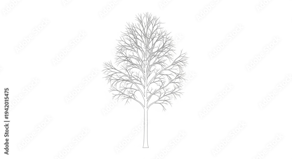 Obraz premium Detailed Illustration of a Tree with Bare Branches.
