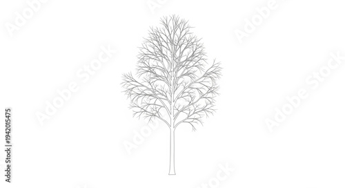 Detailed Illustration of a Tree with Bare Branches.