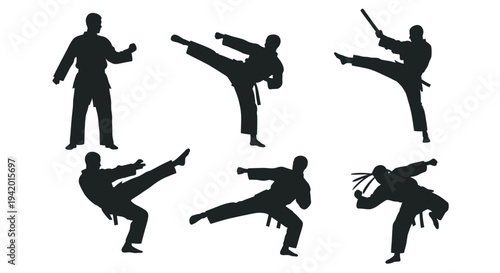 Martial arts poses displayed in stark black silhouettes