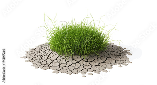 Vibrant green grass grows on cracked dry earth
