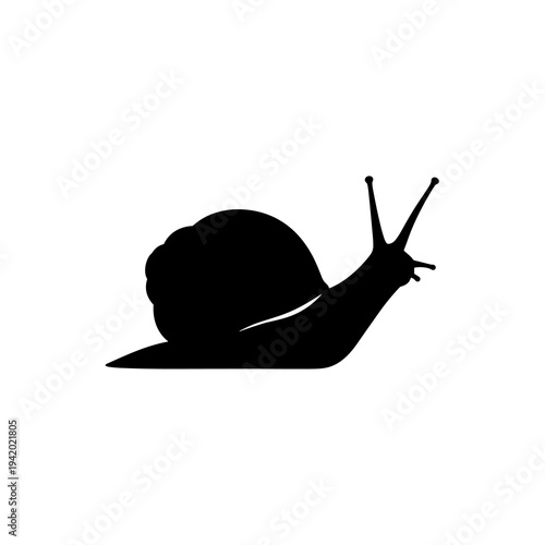 Snail Vector Silhouette Isolated on White Background