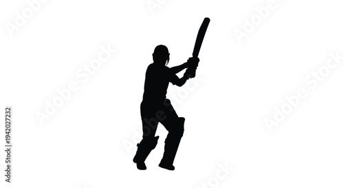 A cricket batsman prepares to hit a ball black silhouette