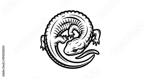 minimalist black and white circular salamander line drawing