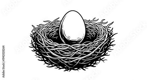 black and white bird nest with empty egg