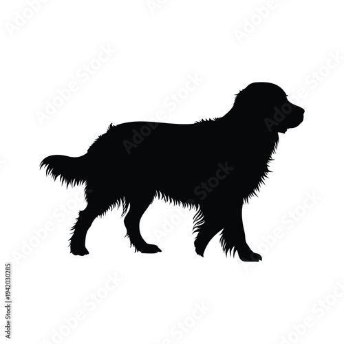 Dog silhouette, golden retriever, golden retriever dog silhouette vector illustration, golden retriever standing dog icon, domestic pet animal symbol design
