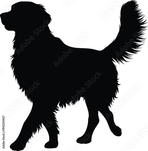 Dog silhouette, golden retriever, golden retriever dog silhouette vector illustration, golden retriever standing dog icon, domestic pet animal symbol design
