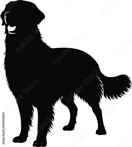Dog silhouette, golden retriever, golden retriever dog silhouette vector illustration, golden retriever standing dog icon, domestic pet animal symbol design
