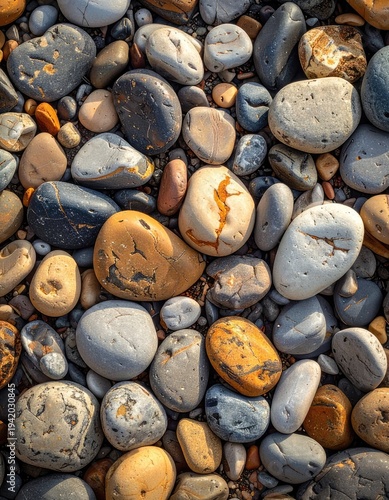 Wallpaper Mural A detailed close-up showcases a vibrant collection of smooth, rounded stones in various shades of gray, brown, and white, creating a textured and visually appealing natural pattern. Torontodigital.ca