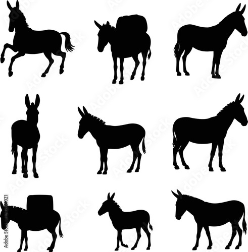 Set of donkey silhouettes in various poses including standing, walking, and carrying cargo, isolated on a white background, black vector illustrations for farm design.