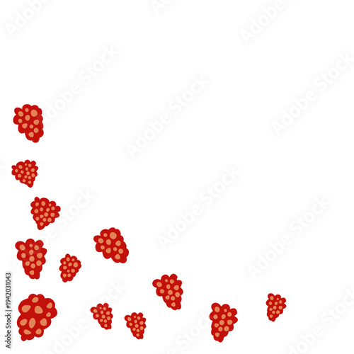 Raspberries corner border