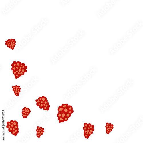 Raspberries corner border