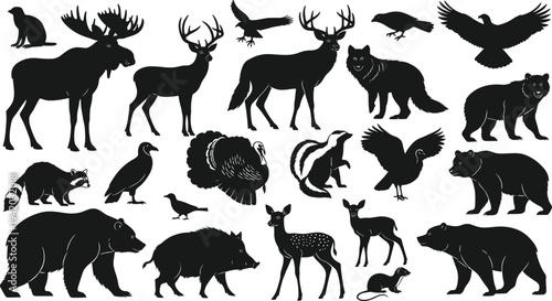 Wild animals and birds silhouette set collection cad drawing flat vector illustration for forest nature wildlife and zoo design projects.