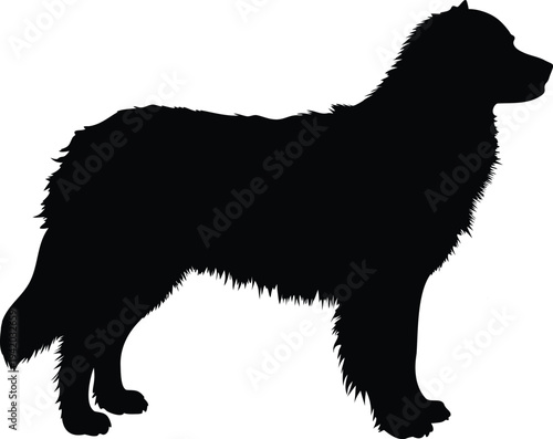 "Labrador retriever dog silhouette vector illustration, black labrador retriever dog breed icon, domestic pet animal symbol design, labrador retriever, labrador dog, labrador silhouette, dog silhouett
