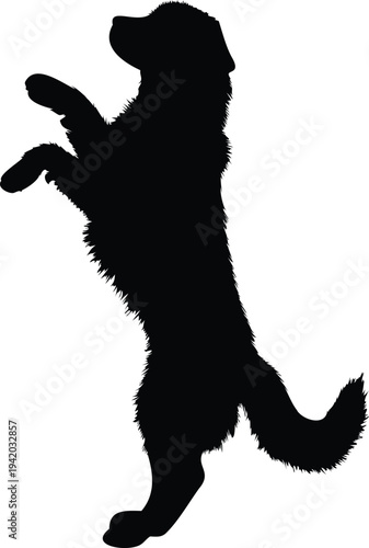 "Labrador retriever dog silhouette vector illustration, black labrador retriever dog breed icon, domestic pet animal symbol design, labrador retriever, labrador dog, labrador silhouette, dog silhouett