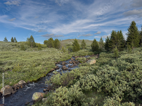 A small stream flows through the Wyoming backcountry landscape.