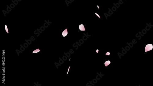 舞い散る桜の花びら