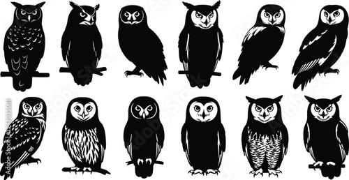 Black owl silhouette collection featuring various predatory bird poses and feathered textures for wildlife vector design and nocturnal animal themes