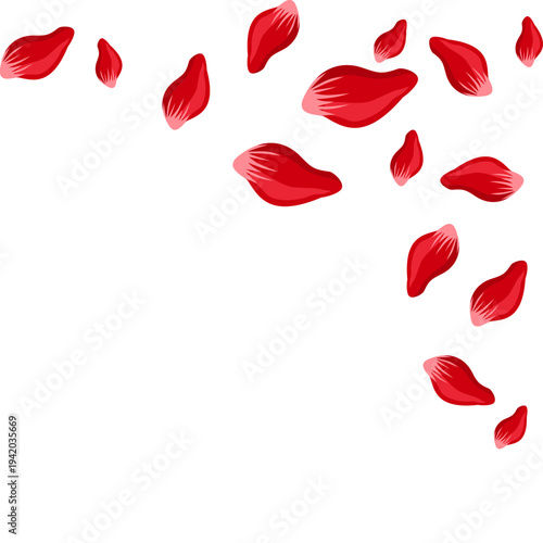 Red Rose Petal Corner Border