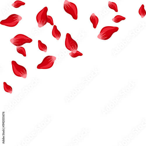 Red Rose Petal Corner Border