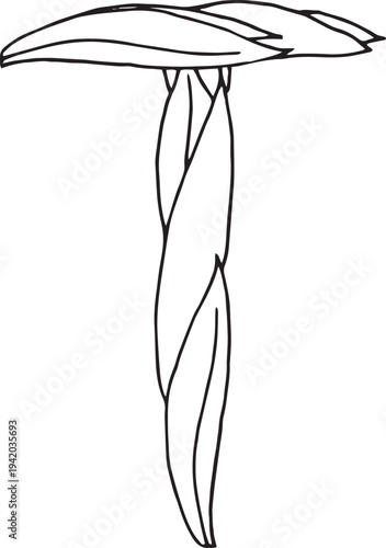 Eps Doodle style letter T drawn with tea leaves. Hand drawn black line art, simple sketch, raw tea leaves arranged in shape of T, organic texture, white background