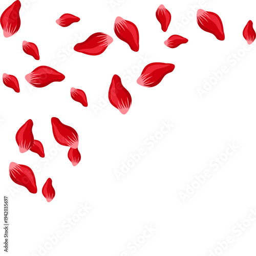 Red Rose Petal Corner Border