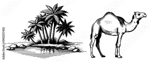 Tropical desert oasis with palm trees and dromedary camel in vintage woodcut drawing style