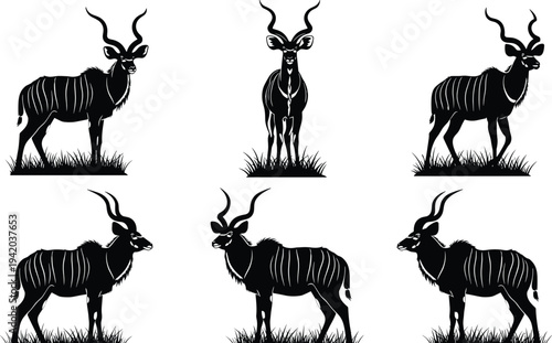 Greater Kudu Bull Silhouette Set, African Antelope with Spiral Horns Standing in Grass, Wild Safari Animal Vector Illustration for Logo Design